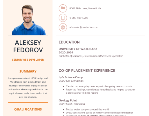 How to formulate a great software developer and web developer resume